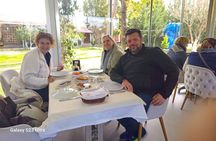 Ephesus Tour with Entry Ticket and Lunch Options for Cruiser