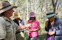 Unique and Personal BushTracks Eco Tour in Agnes Water 1770
