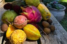 Exotic Fruit Tasting Tour