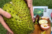 Exotic Fruit Tasting Tour
