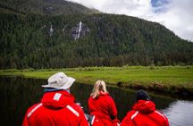 Bear Adventure in Spring