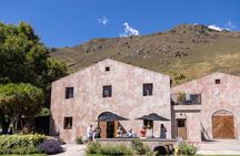 Queenstown Wine Tour