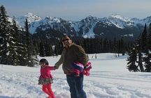 From Portland to Mt. Rainier Tour in a Small Group