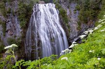From Portland to Mt. Rainier Tour in a Small Group