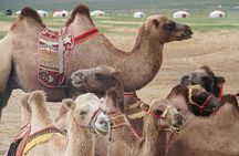 The Jewels Of Mongolia 