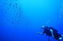 Achieve your PADI OPEN WATER DIVER certification.
