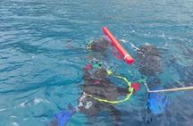 Achieve your PADI OPEN WATER DIVER certification.