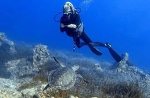 Achieve your PADI OPEN WATER DIVER certification.