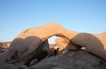Joshua Tree National Park Private Adventure from Los Angeles
