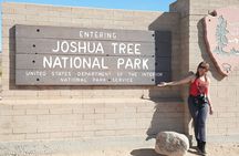Joshua Tree National Park Private Adventure from Los Angeles