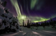3 hour Evening Snowmobile Safari with Campfire & Northern Lights