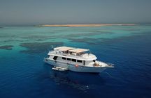 Scuba Diving Trip in El Gouna Two Dives