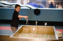 Mirador Interactive Museum Santiago Private Tour with Tickets 