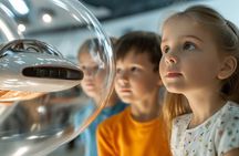 Mirador Interactive Museum Santiago Private Tour with Tickets 