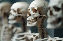 Mirador Interactive Museum Santiago Private Tour with Tickets 