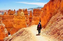 Small Group Day Tour To Explore Bryce Canyon & Zion National Park