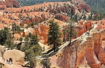 Small Group Day Tour To Explore Bryce Canyon & Zion National Park