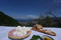 Farm Tour With Breathtaking View