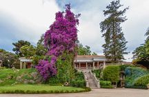 From Santiago: Tour Viña Santa Rita Classic