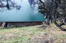 4 Days Mt Elgon Hike Via Bushiyi Trail