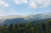 4 Days Mt Elgon Hike Via Bushiyi Trail