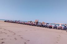 Essaouira 3 Hours in Quad