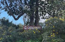 Rome Underground Tour: Catacombs, Crypts & Secrets with Transfers