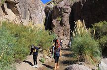 Mendoza Half-Day Adventure Trekking with Rappel and Snacks