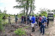Game Drive and Short Rhino Walking Safari 