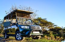 Kruger National Park Wildlife Safari with Private Guide