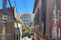 Private Valparaiso Wine and Tasting Tour 