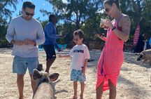 Swimming Pigs, Turtles & Reef Snorkel in Nassau-Champion Tours