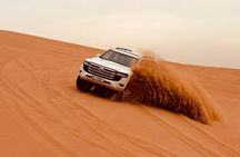 Dubai Sunrise Desert Safari Red Dune Camel Falcon & Sandboarding
