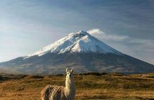Adventure in Ecuador Volcano Cotopaxi