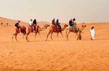 Dubai Morning Desert Safari Red Dune Camel Falcon & Sandboarding