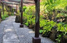 Discover Fiji's Key Attractions in Nadi for a Half-Day Visit