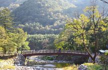 Mount Seorak and Nami Island One Day Tour from Seoul