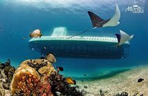Cozumel Underwater Tour from Cancun 