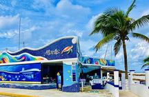 Cozumel Underwater Tour from Cancun 