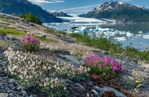 Seward Kenai Fjords Helicopter Tour with Landing