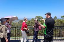 6 Hour Welcome to Brisbane Private Sightseeing Tour