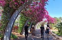 6 Hour Welcome to Brisbane Private Sightseeing Tour