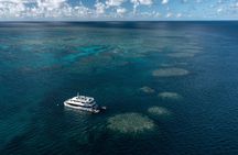 Full Day Snorkel the Great Barrier Reef - From Hamilton Island