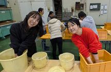 Hands-on History: Make Your Own Miso at a 240-Year-Old Brewery
