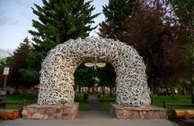 Salt Lake City to Yellowstone and Grand Teton 3 Day Tour