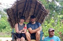 Sigiriya Rock, Village Tour and Wild Elephant Safari Sri Lanka