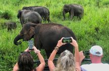 Sigiriya Rock, Village Tour and Wild Elephant Safari Sri Lanka