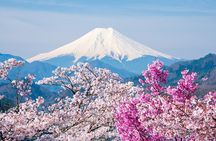 Tokyo: Mt. Fuji 5th Station Oshino Hakkai, Outlet& HotSpring Trip