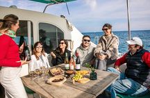 Barcelona Premium Wine Tasting & Tapas in Catamaran - Small Group
