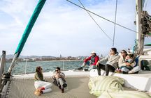 Barcelona Premium Wine Tasting & Tapas in Catamaran - Small Group